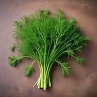 Dill